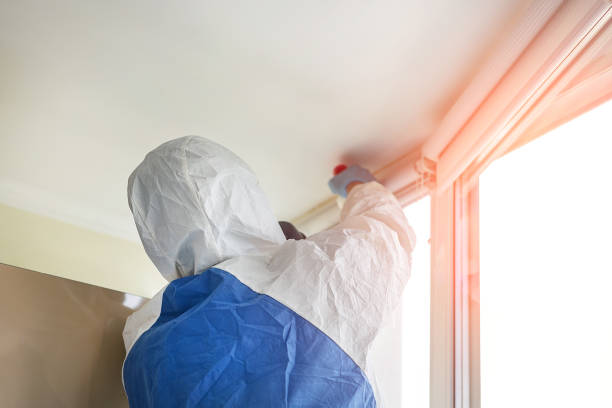 Best Residential Mold Inspection & Testing in Enlow, PA